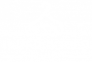 INVERSIONES MARÍN